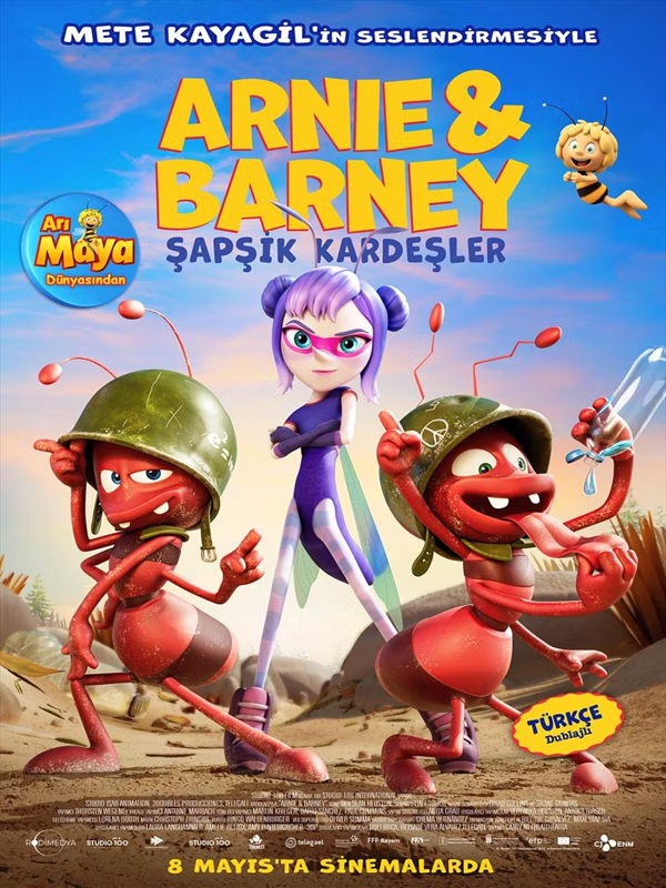 Arnie & Barney Şapşik Kardeşler - Habercode Haber Yazılımı