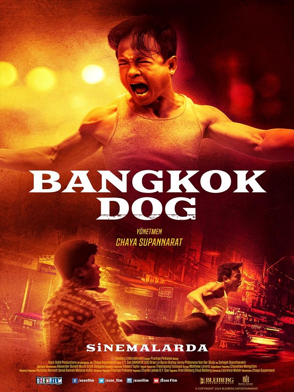 Bangkok Dog - Habercode Haber Yazılımı