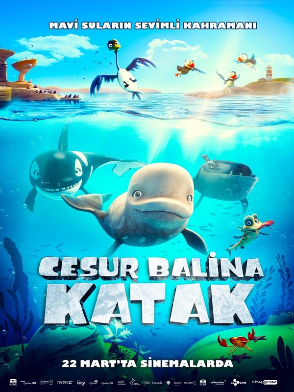 Cesur Balina Katak - Habercode Haber Yazılımı