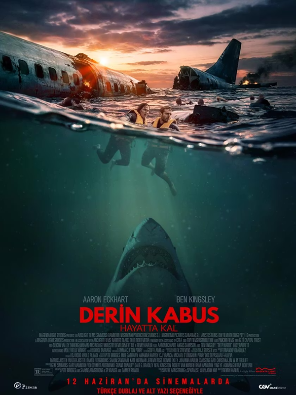 Derin Kabus - Habercode Haber Yazılımı