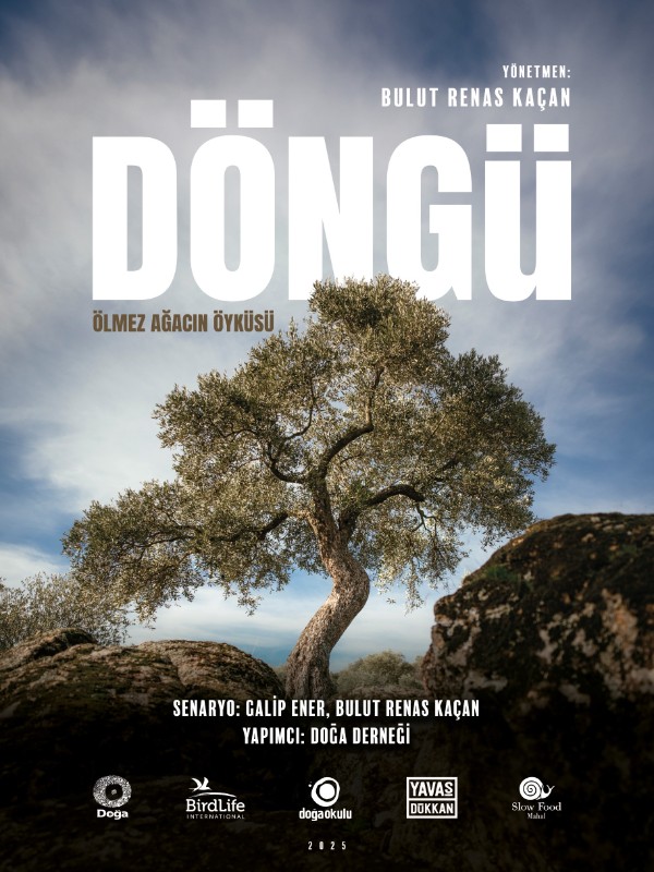 Döngü - Habercode Haber Yazılımı