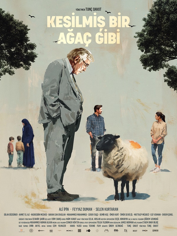 Festival - Kesilmiş Bir Ağaç Gibi - Habercode Haber Yazılımı