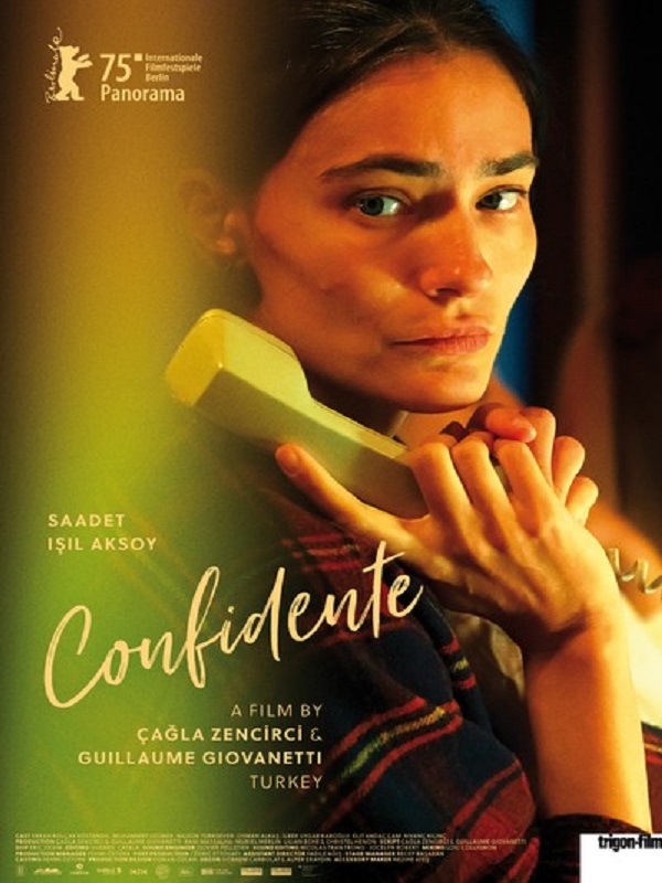 Festival - Sırdaş - Habercode Haber Yazılımı