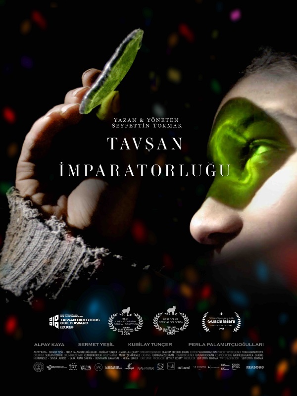 Festival - Tavşan İmparatorluğu - Habercode Haber Yazılımı