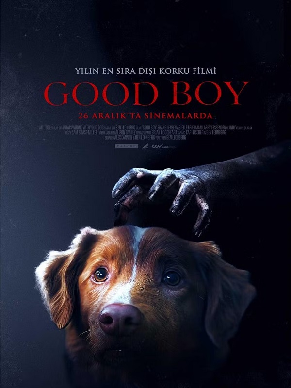 Good Boy - Habercode Haber Yazılımı