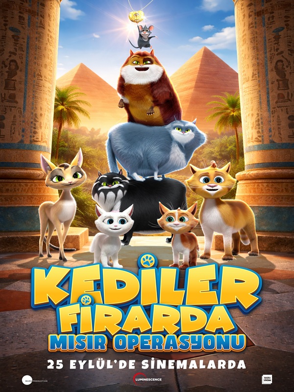 Kediler Firarda: Mısır Operasyonu - Habercode Haber Yazılımı