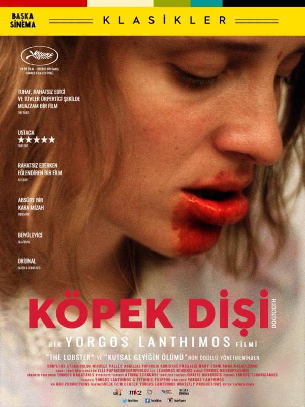 Köpek Dişi - Habercode Haber Yazılımı