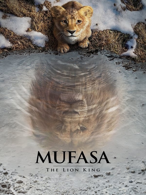 Mufasa - Habercode Haber Yazılımı