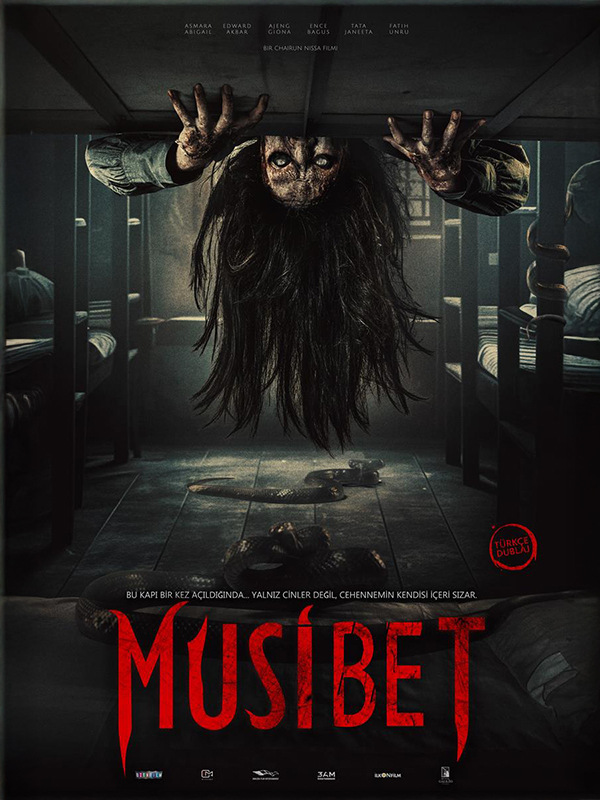 Musibet - Habercode Haber Yazılımı