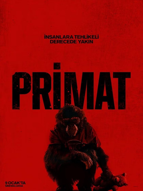Primat - Habercode Haber Yazılımı