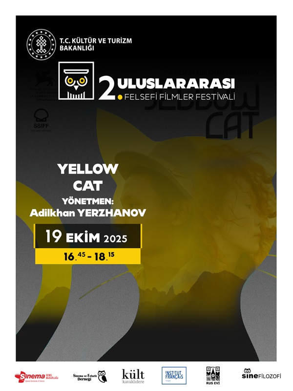 Sarı Kedi - Habercode Haber Yazılımı