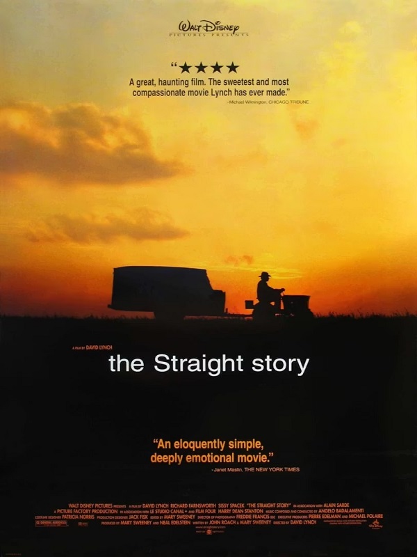 Straight'in Hikayesi - Habercode Haber Yazılımı
