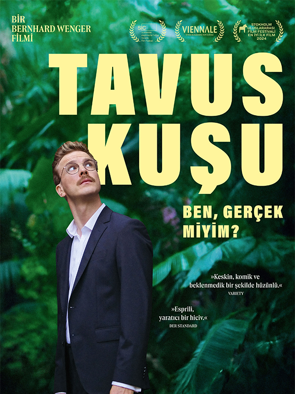 Tavuskuşu - Habercode Haber Yazılımı