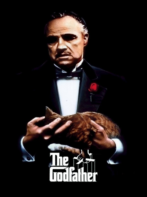 The Godfather - Habercode Haber Yazılımı