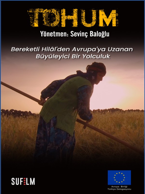 Tohum - Habercode Haber Yazılımı
